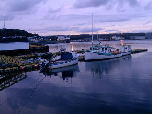 Newfoundland 5