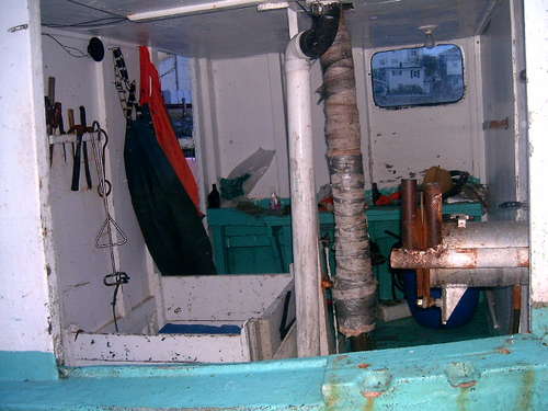 Newfoundland 7