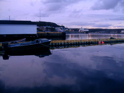 Newfoundland 8