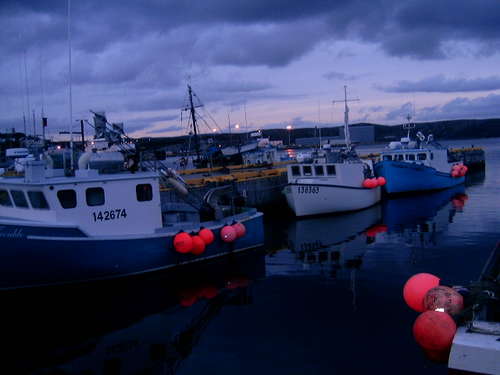 Newfoundland 9