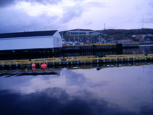 Newfoundland 11