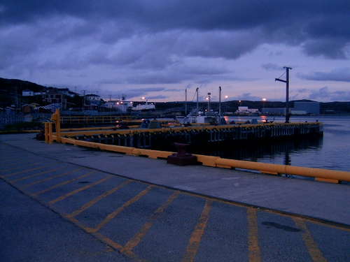 Newfoundland 13