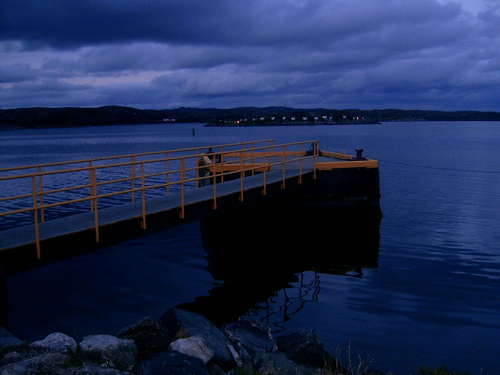Newfoundland 14