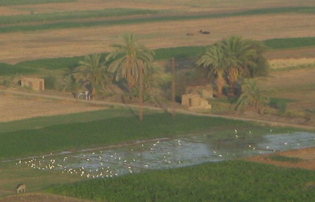 Abu Qerdan