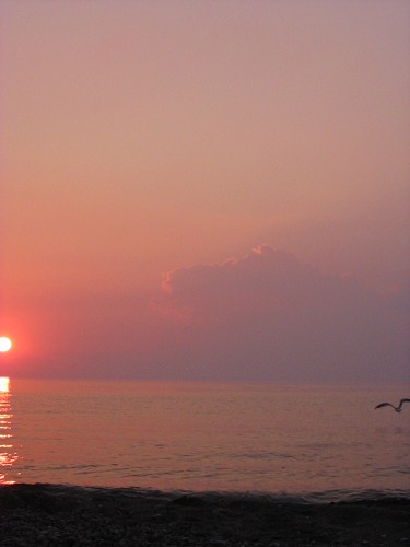 Lake Erie - Pink Sun on Wing - Ontario, Canada July 2002