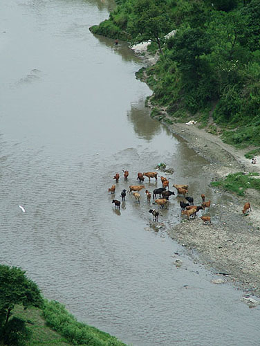 Water For Life in Nepal