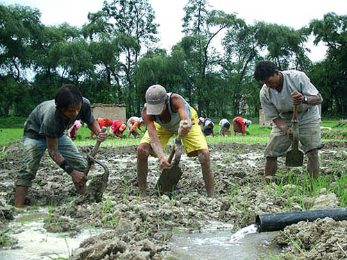 Water For Life in Nepal