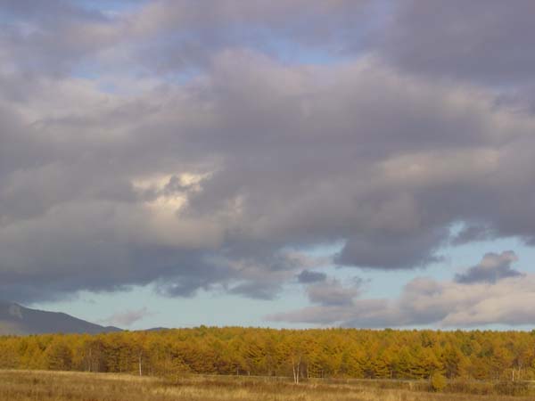 Winter is Coming!