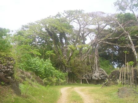 Nambanga