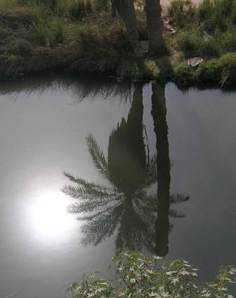 Reflection on water