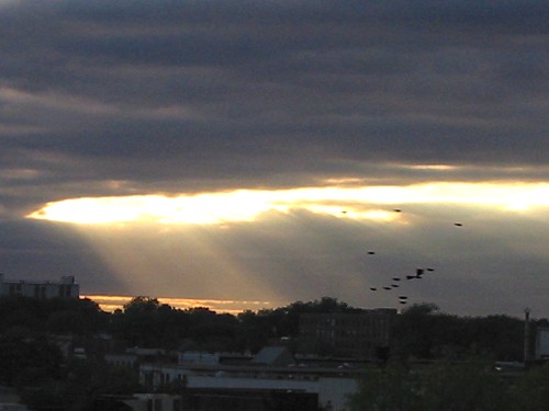 Afternoon Light 6 - Toronto, Canada, September 2002