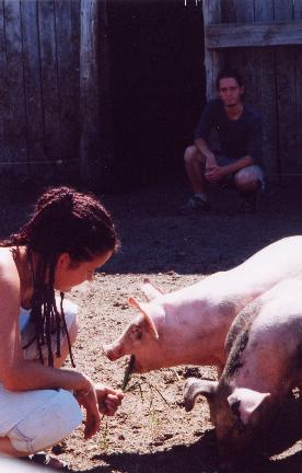 Une visite a la ferme, QC.