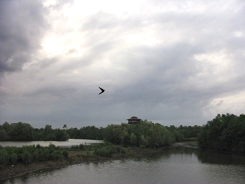 Singapore Heaven - Sungei Buloh, Singapore, January 2002