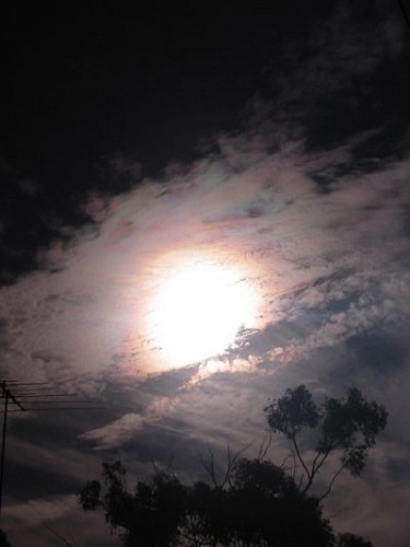 Polarised Light - Melbourne, Australia, February 2003