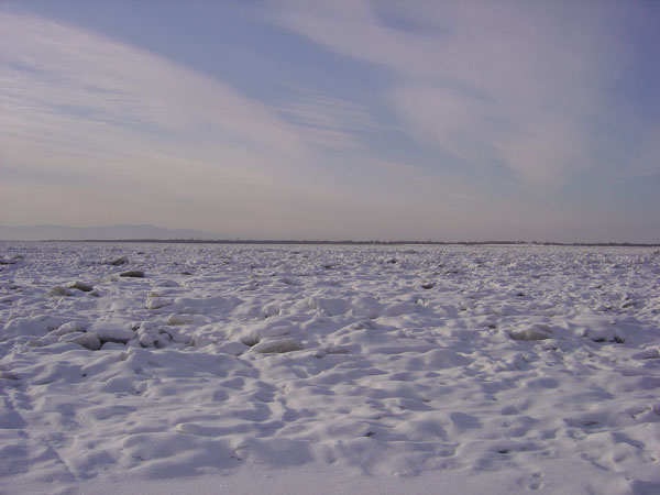 Frozen Amur