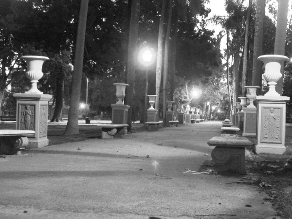 Bancos de Parque Lezama
