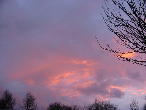 Rotterdam Sunset - The Netherlands, January 2002