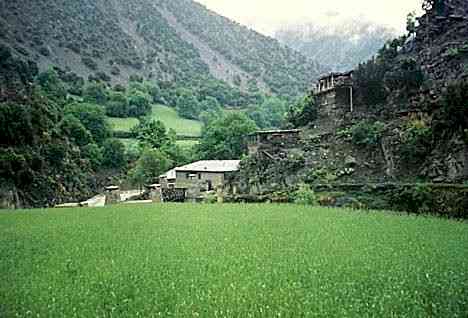 Valley of Kalash