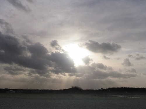 Rotterdam Fields - The Netherlands, January 2002