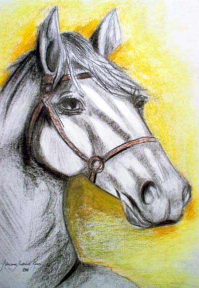 Brasileiro de Hipismo BH