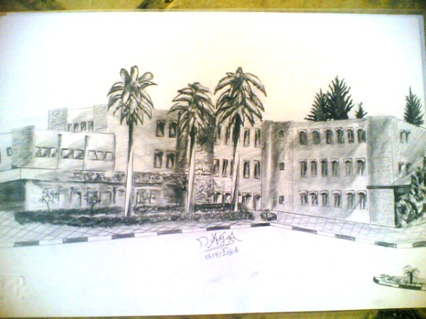 my college