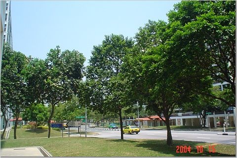 Quiet Street