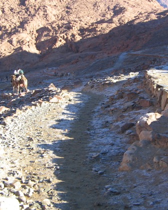 Snow in Mount Sinai II