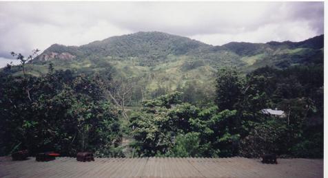 View of Ranomafana from Hotely Ravenala