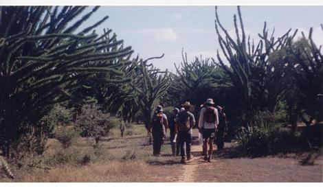Hiking in the Spiny Forest