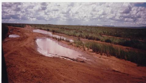 Tropical Rainstorms and Madagascan Roads