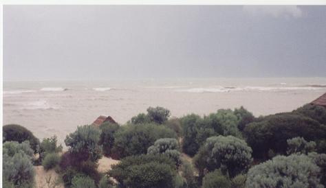 Cyclone 2001
