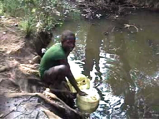 WATER! WATER! WATER!