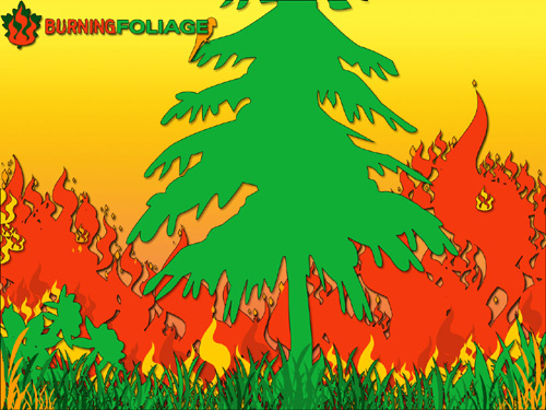 BURNINGfoliage