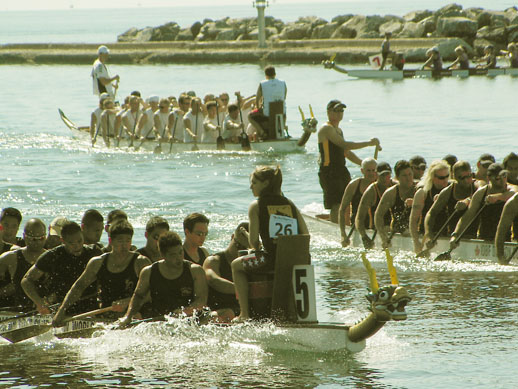 Toronto Dragon Boat Races