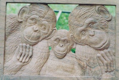 Chimpanzee family
