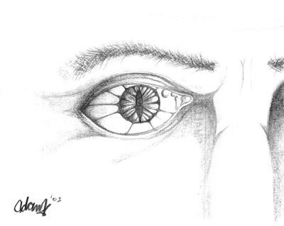 :: SKETCH =- 4