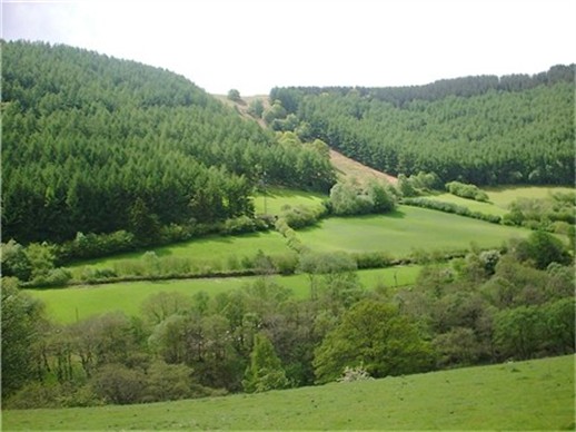 GREENERY!!