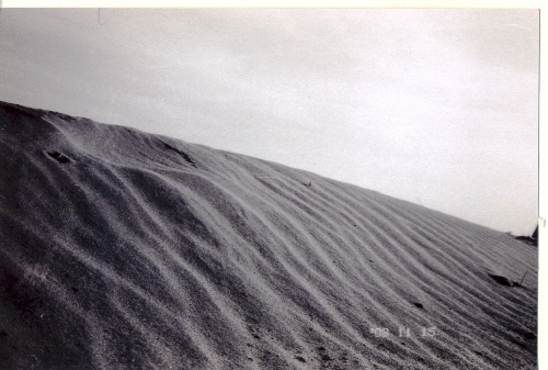 Sand dune