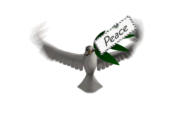 Peace is the way