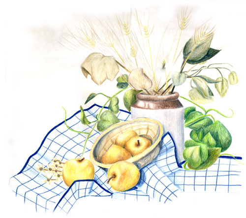 Still Life