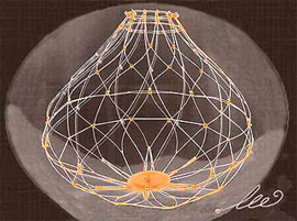 GENE MODEL DNA