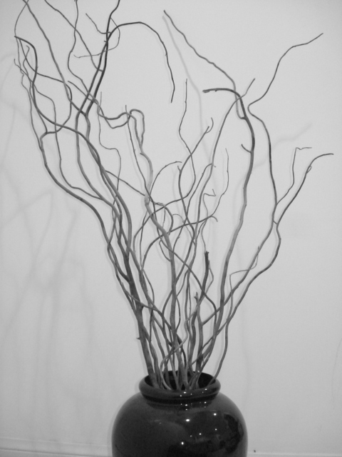 Silent Tree