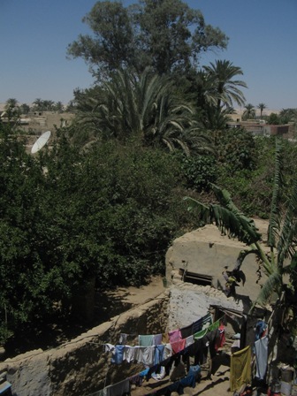 Bahariya Oases 2
