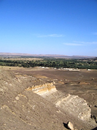 Bahariya Oases 5