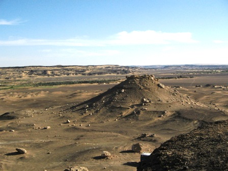 Bahariya Oases 6