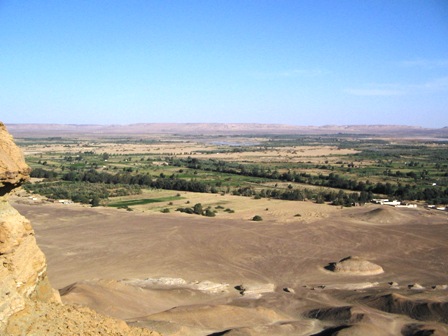 Bahariya Oases 7