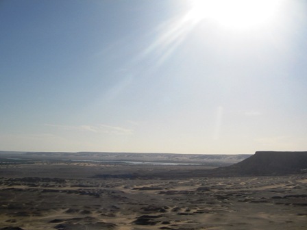Bahariya Oases 8
