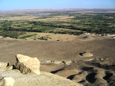 Bahariya Oases 10
