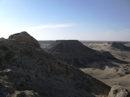 Bahariya Oases 11