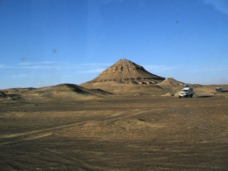 Bahariya Oases 13